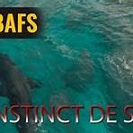 the shallows streaming vostfr1