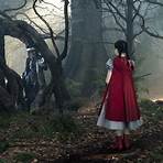 Is into the Woods based on a true story?3