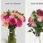 broken flowers reviews consumer reports1