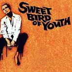 Sweet Bird of Youth (1989 film) filme1