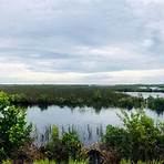 Pine Island, Hernando County, Florida3