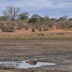 parc kruger afrique du sud4