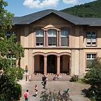 universidad de heidelberg instituciones3