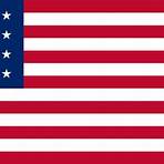 bandeira united states of america5