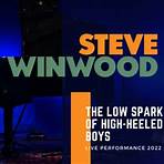 steve winwood live in concert5