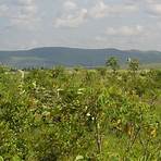 republik kongo landschaft3