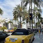Rodeo Drive2