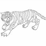tigre desenho5