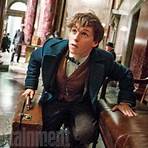 Fantastic Beasts and Where to Find Them filme4