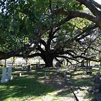 Glenwood Cemetery Houston, TX1
