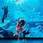 sea aquarium singapore resort world3