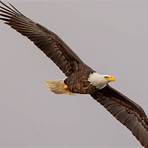 eagles hideaway at eagle creek park2