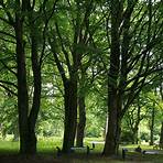 hamburg ohlsdorfer friedhof1