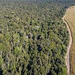 consequências do desmatamento na amazônia2