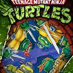 Teenage Mutant Hero Turtles4