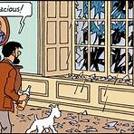 Tintin and the Calculus Affair film5