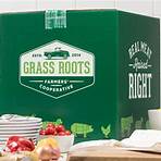 Grass Roots Reviews4