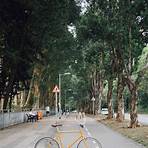 香港單車徑 沙田4