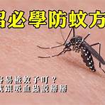飛蚊症治療方法1