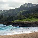 hawaii top 50 flowers4