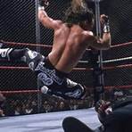 WWF Greatest Matches film3