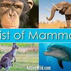list of mammal species2