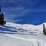 skitour wiedersberger horn almenrausch3