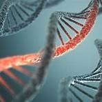 what does dna stand for in science4