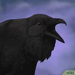 raven meaning meaning3