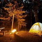 What type of camping is available at Clay's Park Resort?3