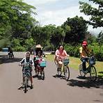 台東森林公園可以騎腳踏車嗎?4
