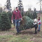 Can you cut down your own Christmas tree?2
