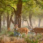 what is the national park of maharashtra 3f state3