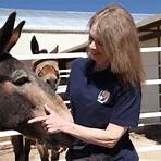 meredith hodges donkey training youtube3
