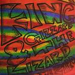 king gizzard discography4