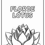 flor de lótus desenho colorida1