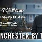 manchester by the sea cuevana2
