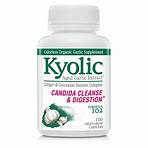 kyolic aged garlic extract 1024