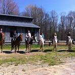 uncle buck's riding stable hocking hills ohio4