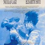 leaving las vegas 1995 movie poster3