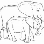 elefante desenho3