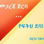 aiga forum ethiopian news2