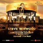 steve winwood live concert3