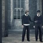 harry potter and the half-blood prince wii4