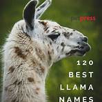 What are some cute llama names?3
