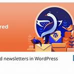 email newsletter dimensions for wordpress2