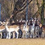 müncheberg tierpark4