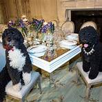 white house pets in office3