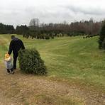 christmas tree farms cut your own1