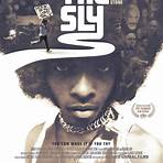 On the Sly: In Search of the Family Stone1